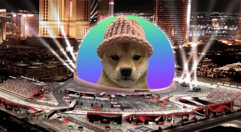 dog with a hat crypto.